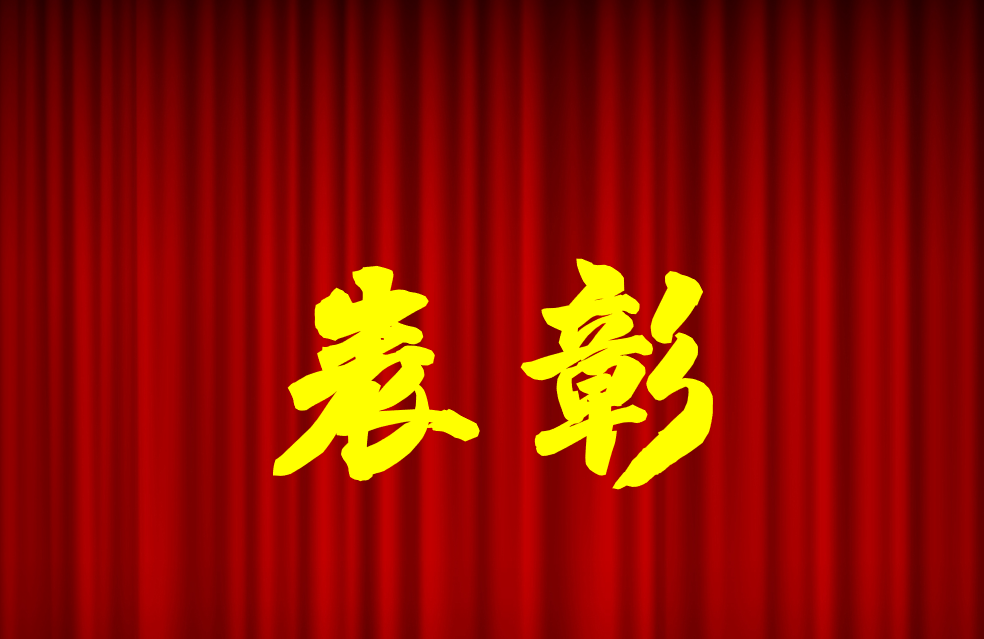 逐光前行、榮耀共鑒 | 公司2024年度表彰來(lái)啦！